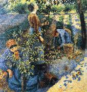 Camille Pissarro Apple picking oil painting artist